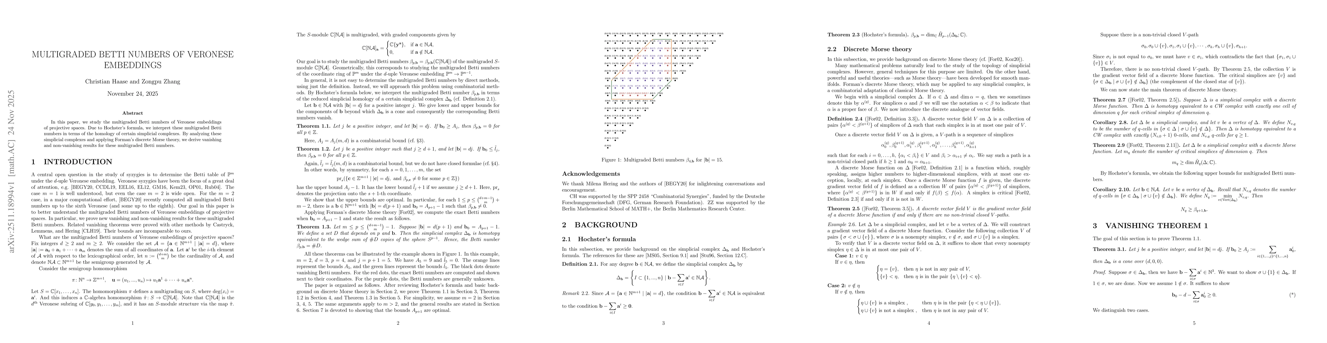 Thumbnail for Multigraded Betti numbers of Veronese embeddings