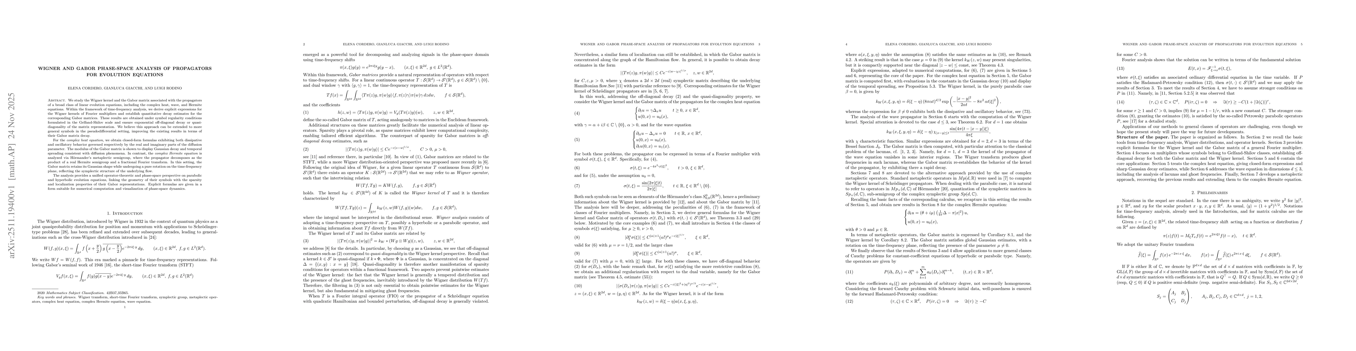 Thumbnail for Wigner and Gabor phase-space analysis of propagators for evolution equations