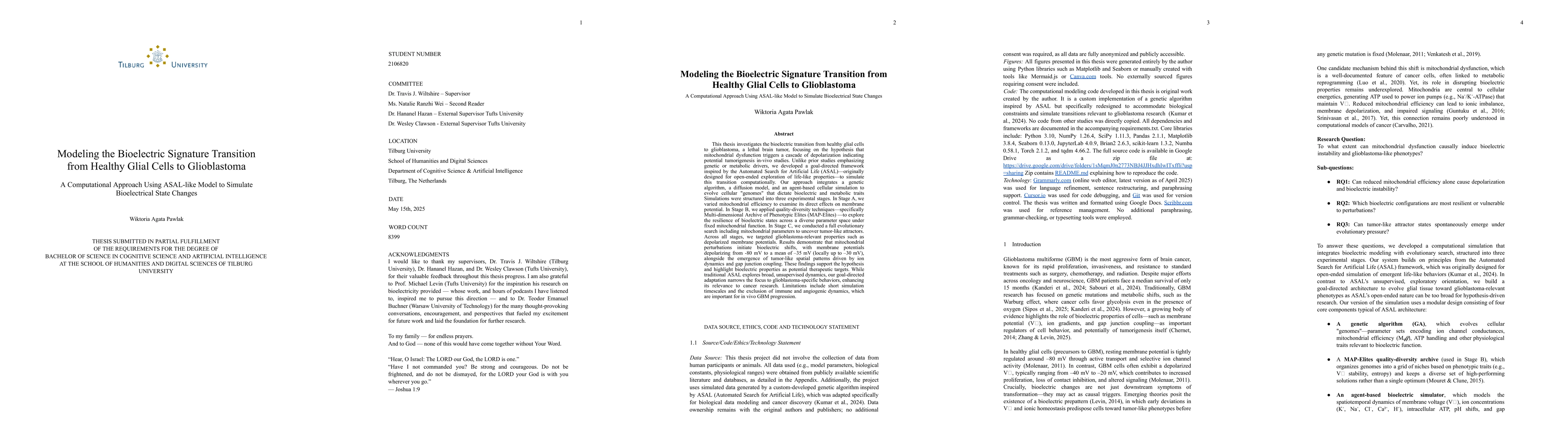 Thumbnail for Modeling Bioelectric State Transitions in Glial Cells: An ASAL-Inspired Computational Approach to Glioblastoma Initiation