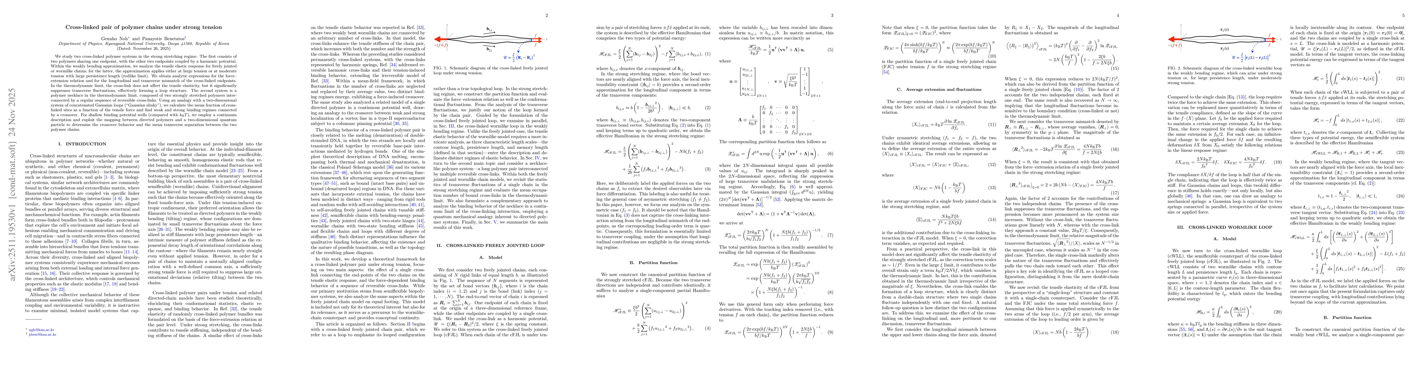 Thumbnail for Cross-linked pair of polymer chains under strong tension