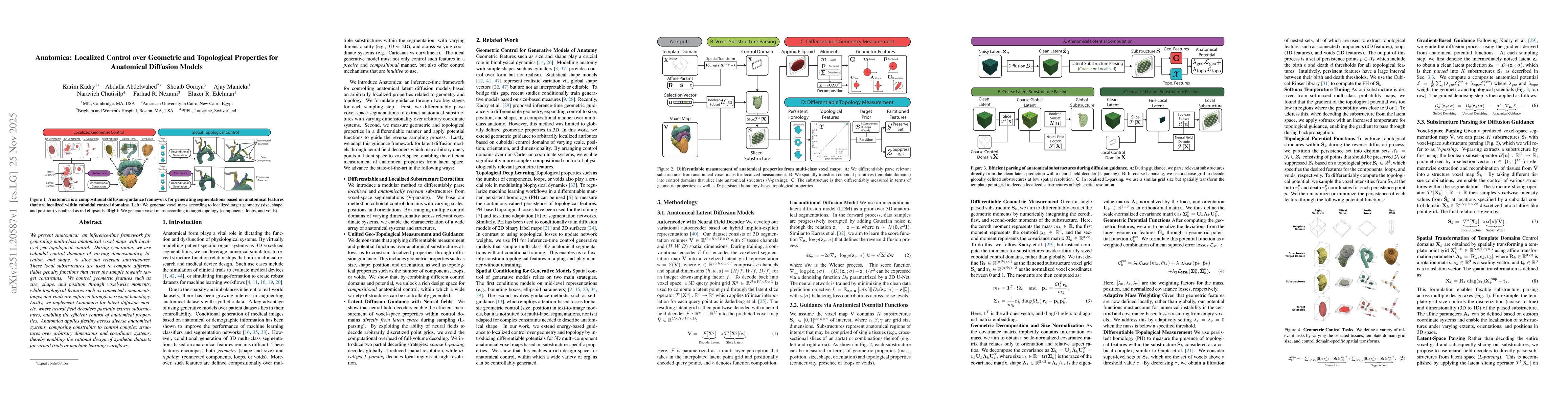 Thumbnail for Anatomica: Localized Control over Geometric and Topological Properties for Anatomical Diffusion Models