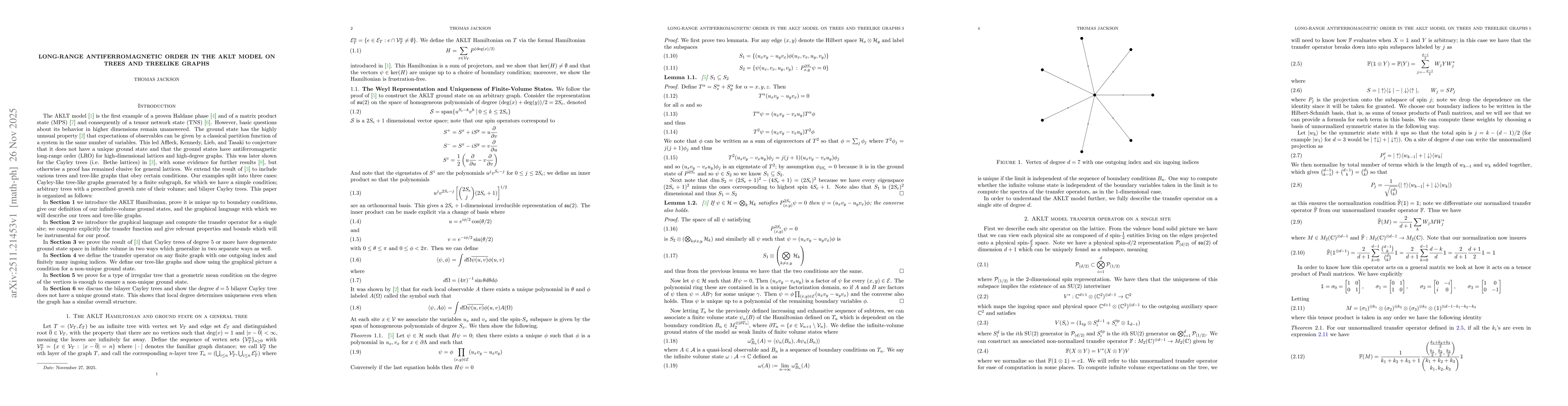 Thumbnail for Long-Range Antiferromagnetic Order in the AKLT Model on Trees and Treelike Graphs