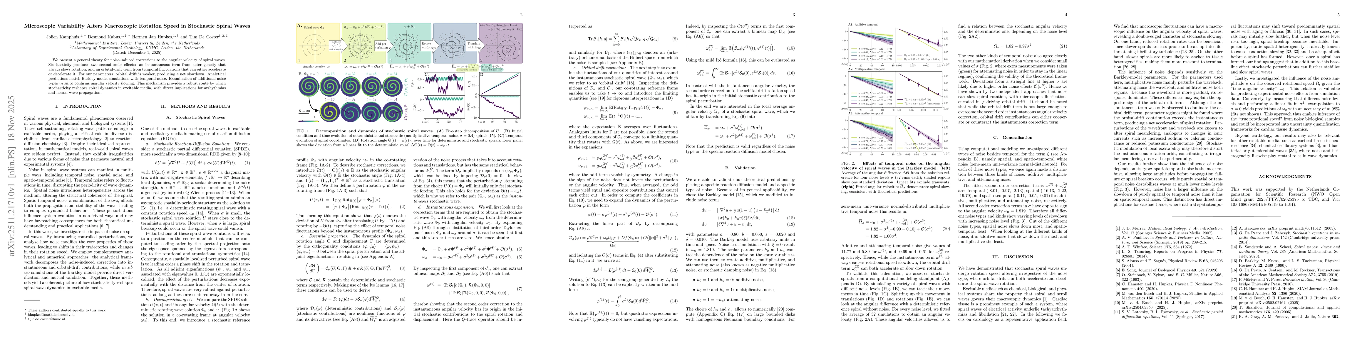 Thumbnail for Microscopic Variability Alters Macroscopic Rotation Speed in Stochastic Spiral Waves