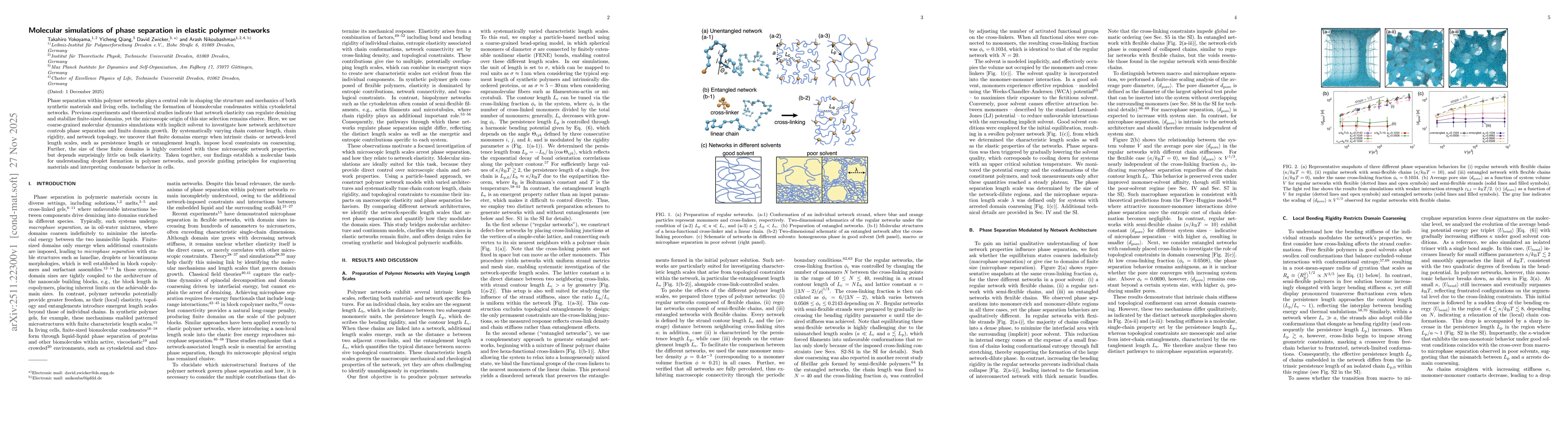 Thumbnail for Molecular simulations of phase separation in elastic polymer networks