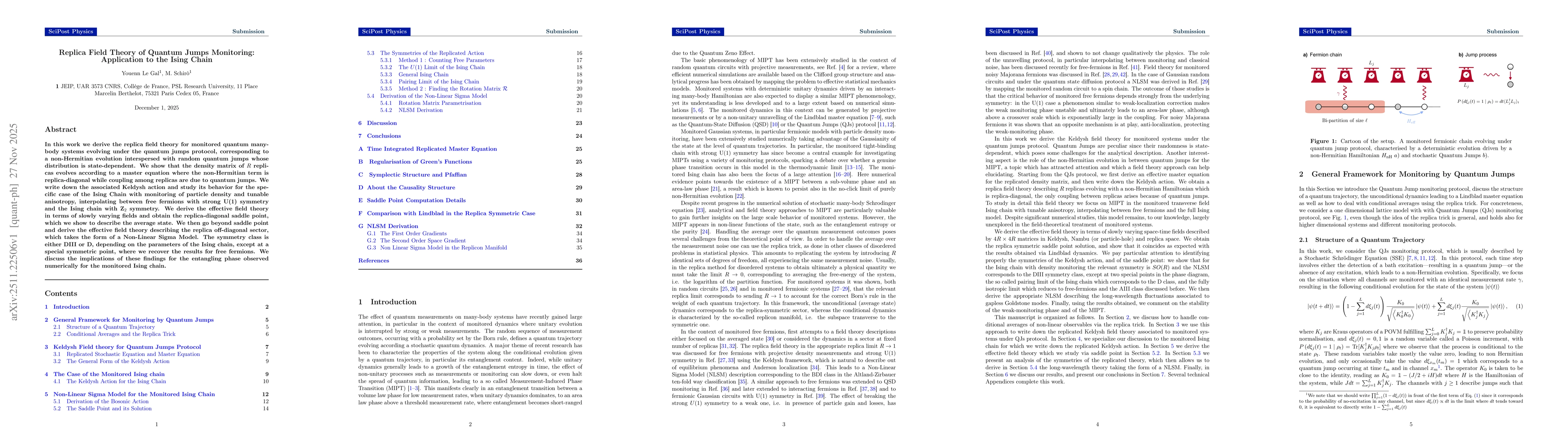 Thumbnail for Replica Field Theory of Quantum Jumps Monitoring: Application to the Ising Chain