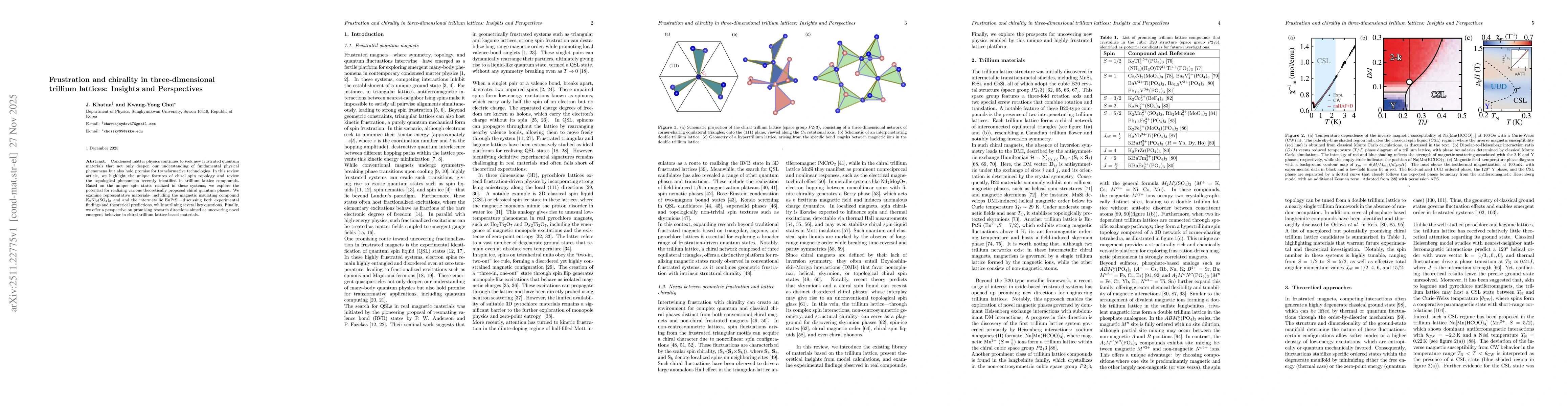 Thumbnail for Frustration and chirality in three-dimensional trillium lattices: Insights and Perspectives
