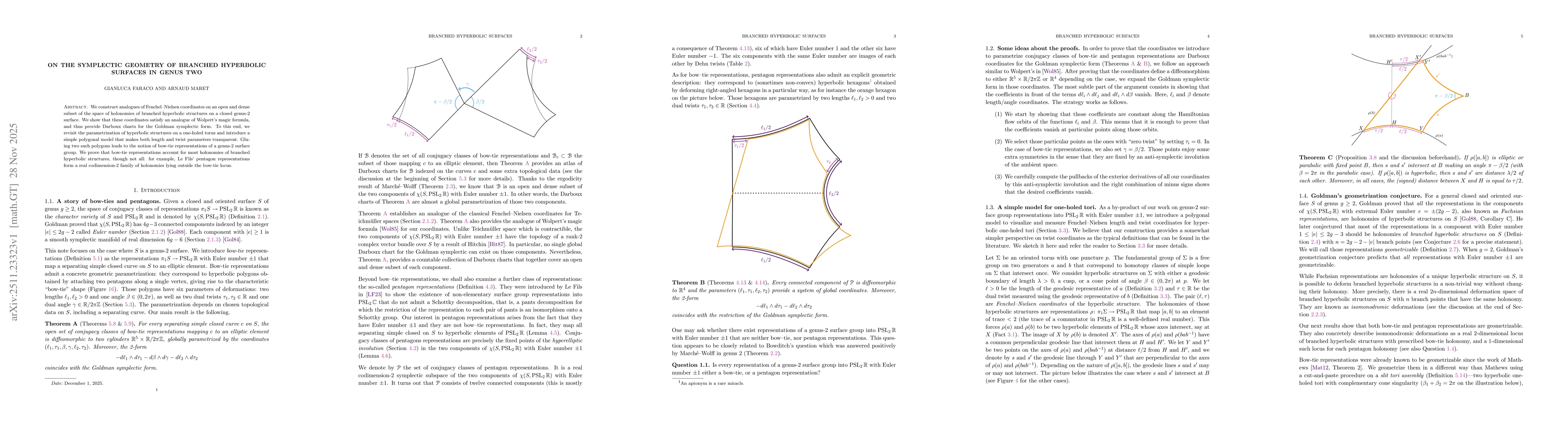 Thumbnail for On the symplectic geometry of branched hyperbolic surfaces in genus two
