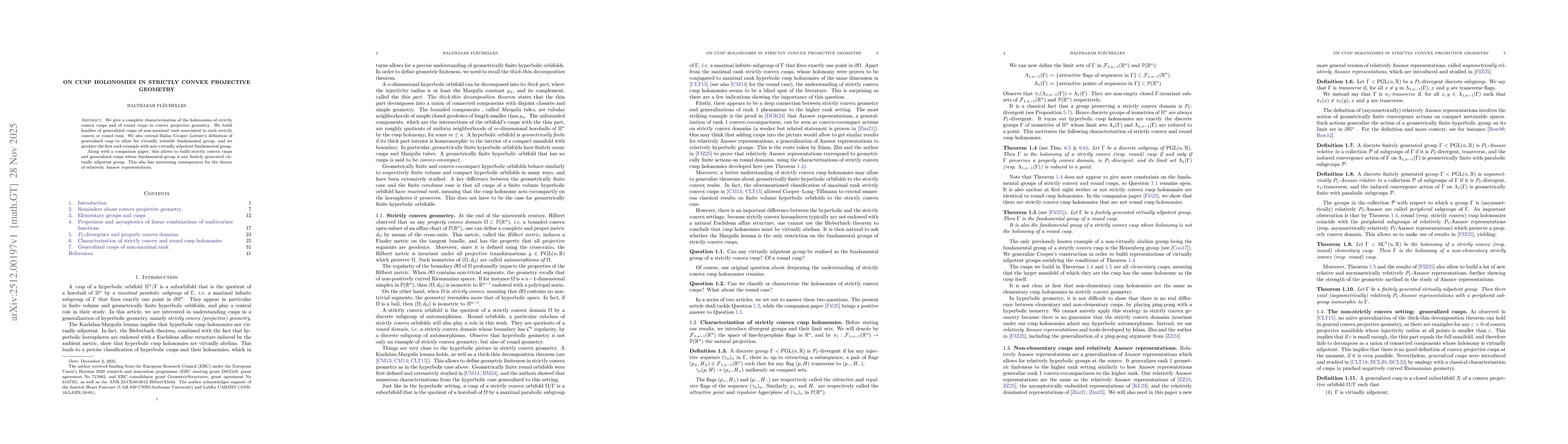 Thumbnail for On cusp holonomies in strictly convex projective geometry