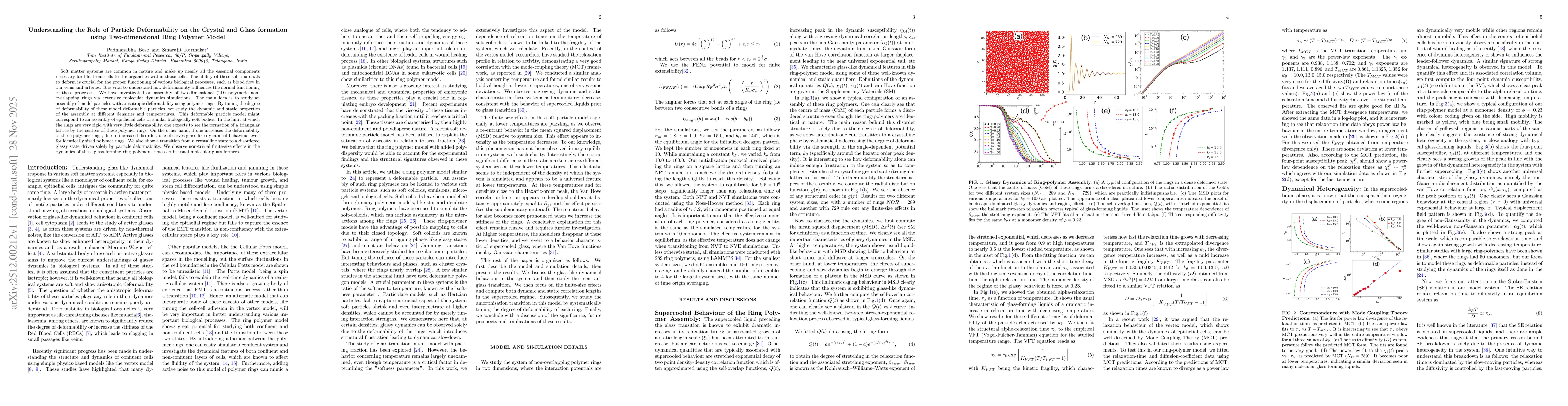 Thumbnail for Understanding the Role of Particle Deformability on the Crystal and Glass formation using Two-dimensional Ring Polymer Model