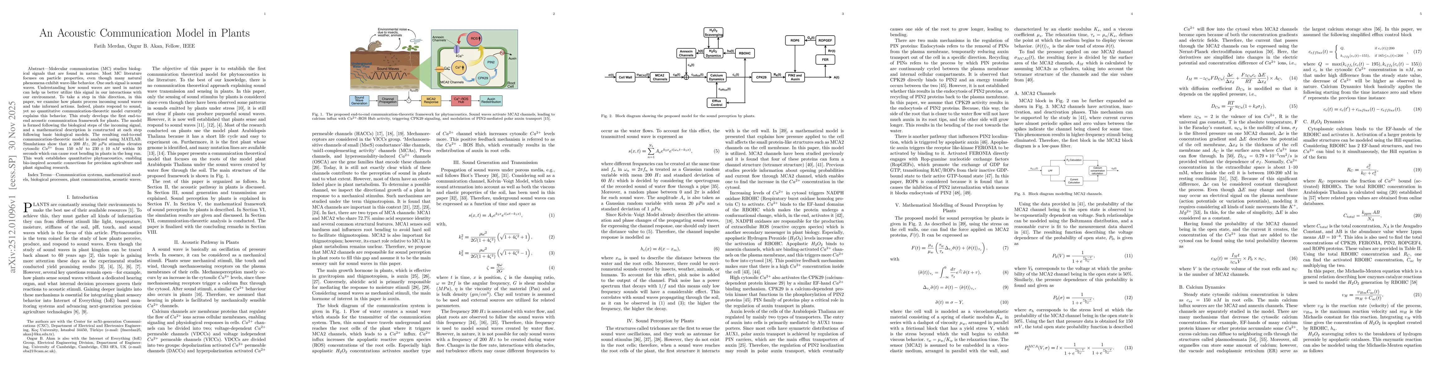 Thumbnail for An Acoustic Communication Model in Plants