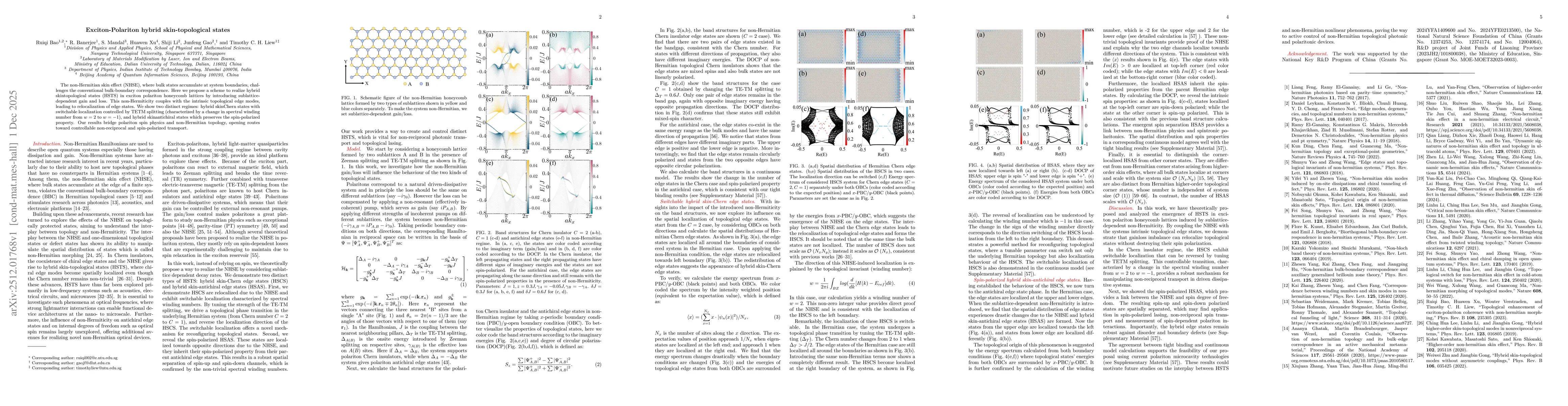 Thumbnail for Exciton-Polariton hybrid skin-topological states