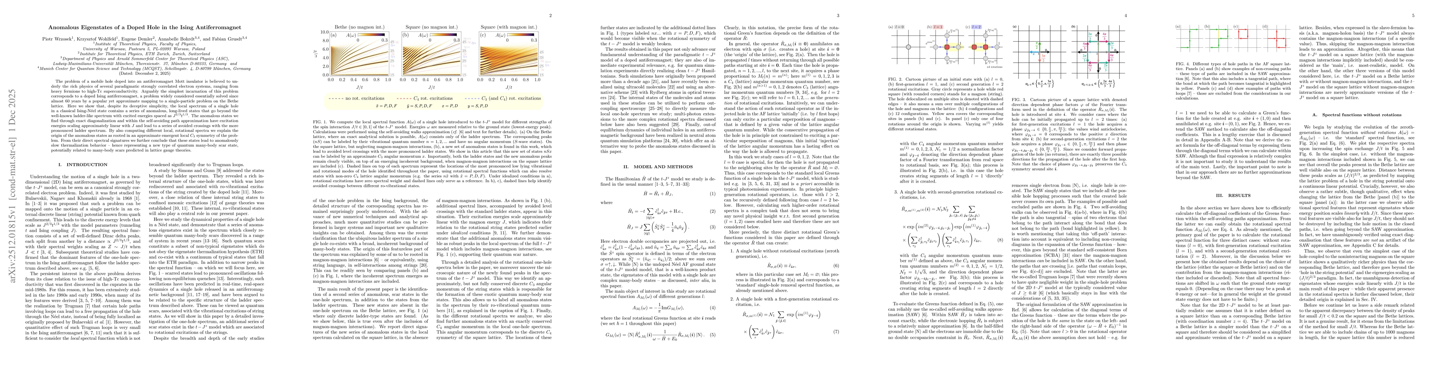 Thumbnail for Anomalous Eigenstates of a Doped Hole in the Ising Antiferromagnet