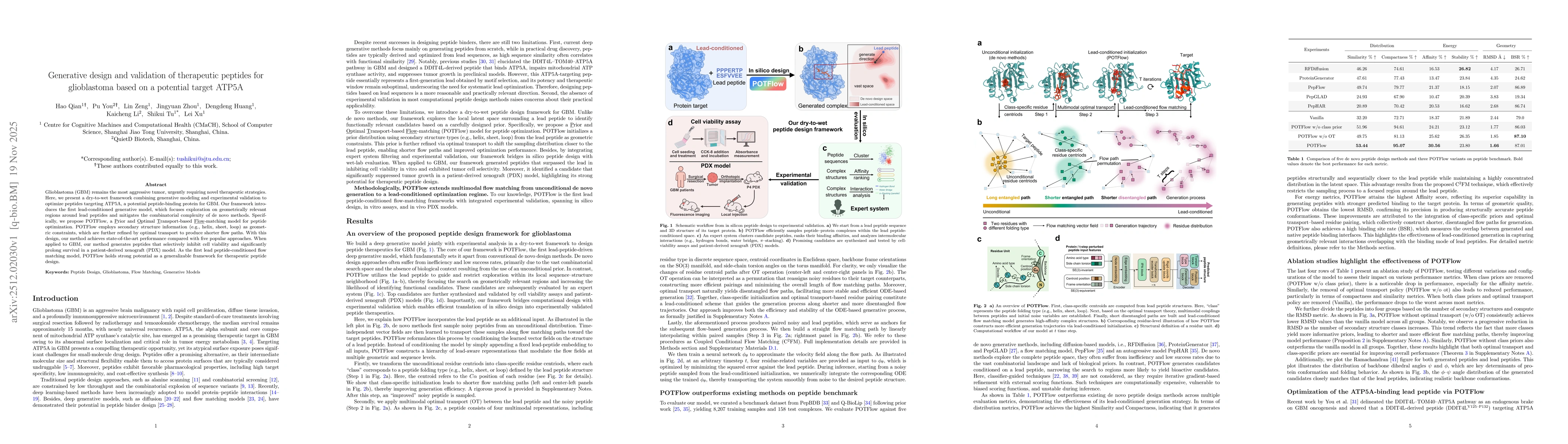 Thumbnail for Generative design and validation of therapeutic peptides for glioblastoma based on a potential target ATP5A