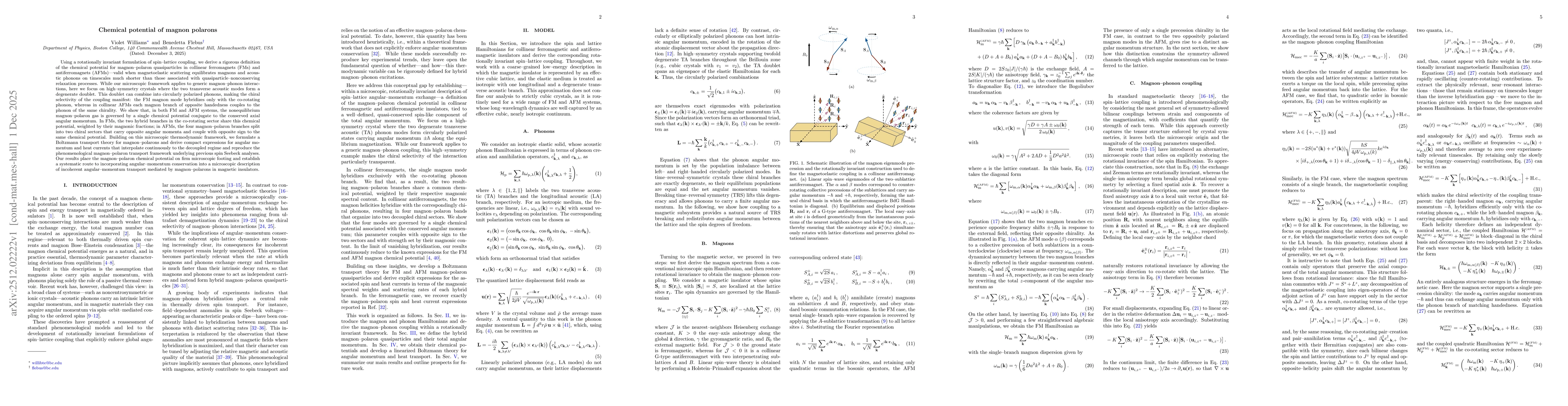 Thumbnail for Chemical potential of magnon polarons