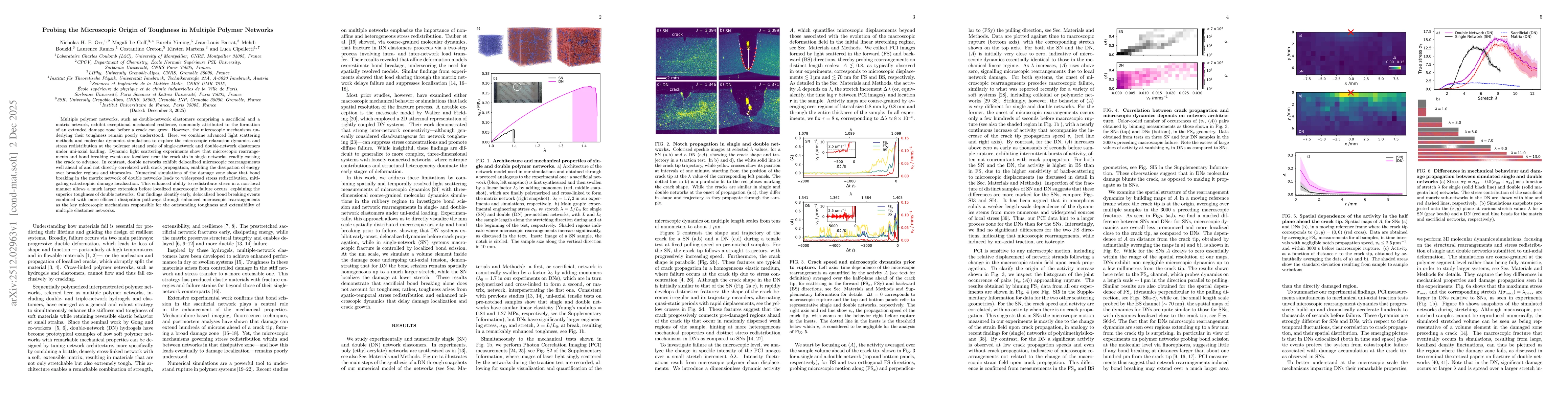 Thumbnail for Probing the Microscopic Origin of Toughness in Multiple Polymer Networks