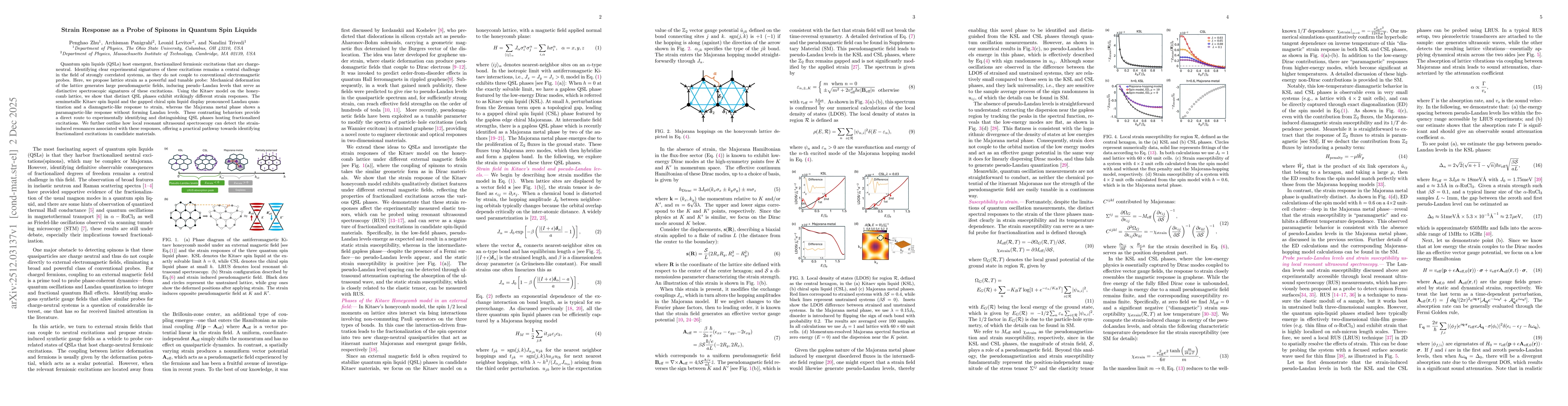 Thumbnail for Strain Response as a Probe of Spinons in Quantum Spin Liquids