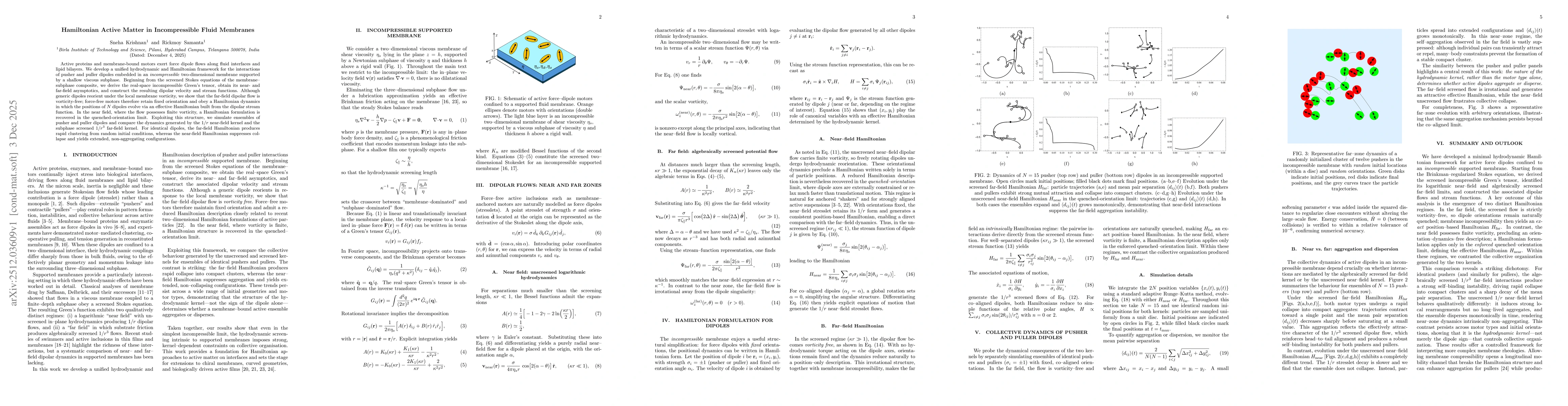 Thumbnail for Hamiltonian Active Matter in Incompressible Fluid Membranes