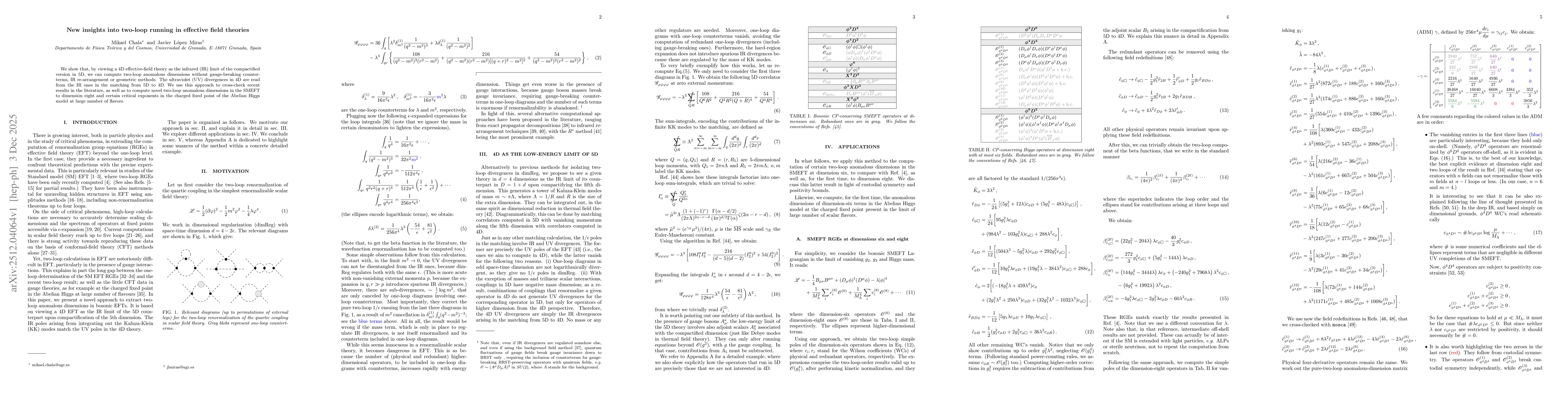 Thumbnail for New insights into two-loop running in effective field theories