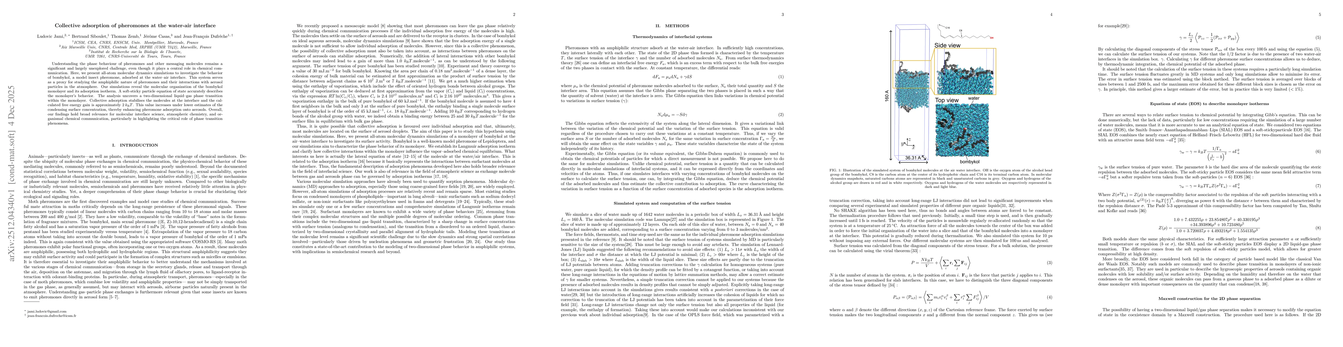 Thumbnail for Collective adsorption of pheromones at the water-air interface