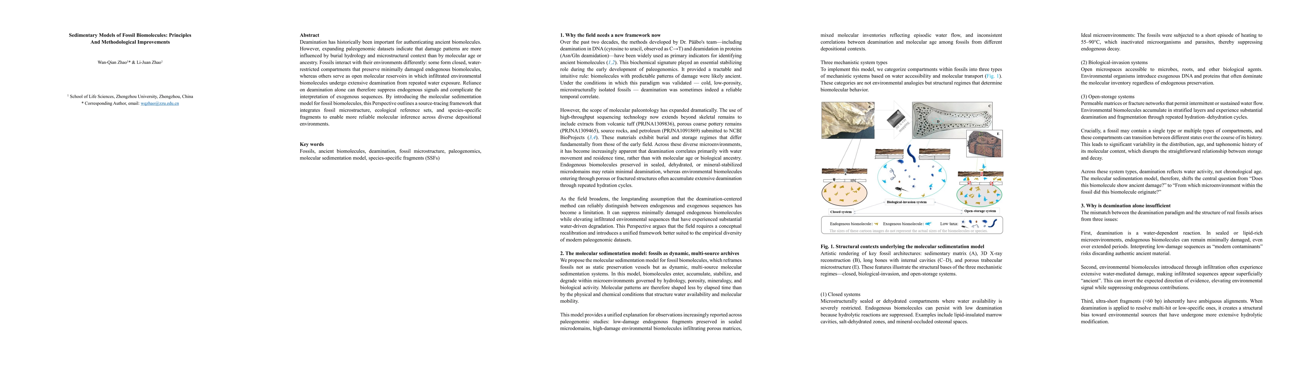 Thumbnail for Sedimentary models of fossil biomolecules, principles and methodological improvements