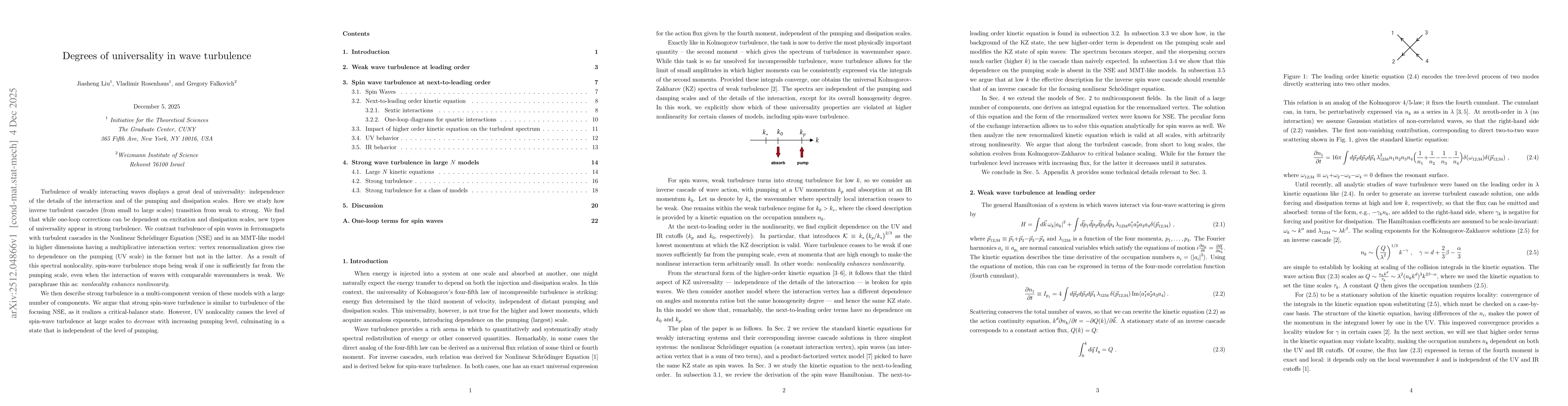 Thumbnail for Degrees of universality in wave turbulence