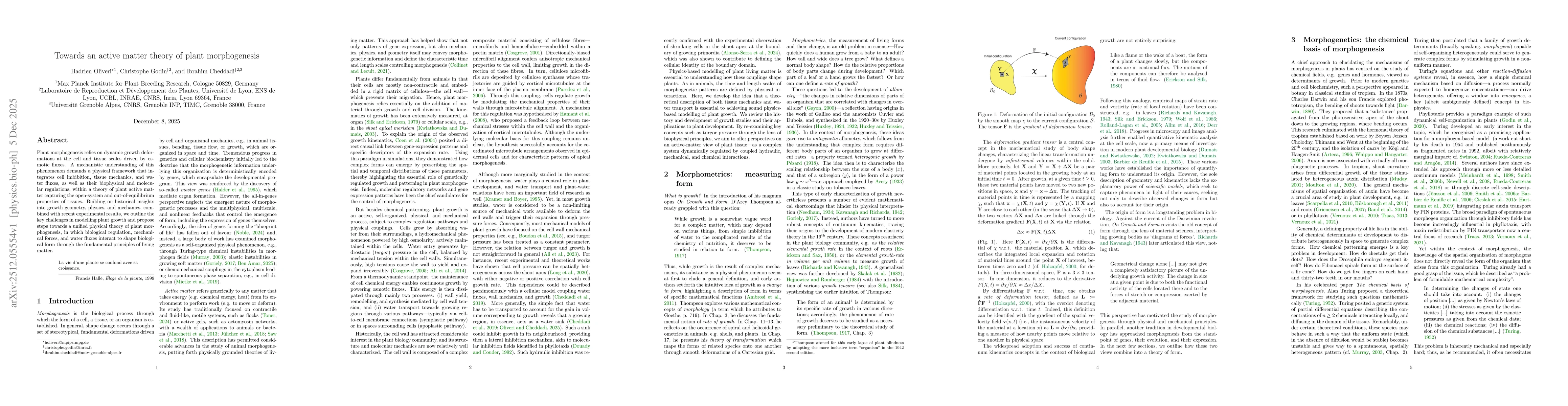 Thumbnail for Towards an active matter theory of plant morphogenesis