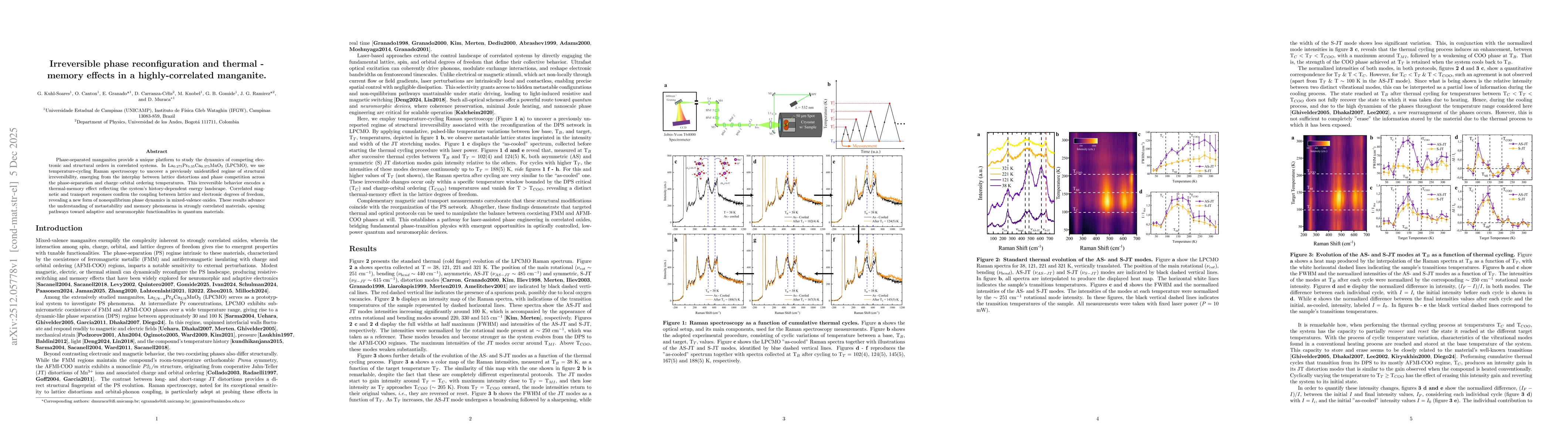 Thumbnail for Irreversible phase reconfiguration and thermal-memory effects in a highly-correlated manganite