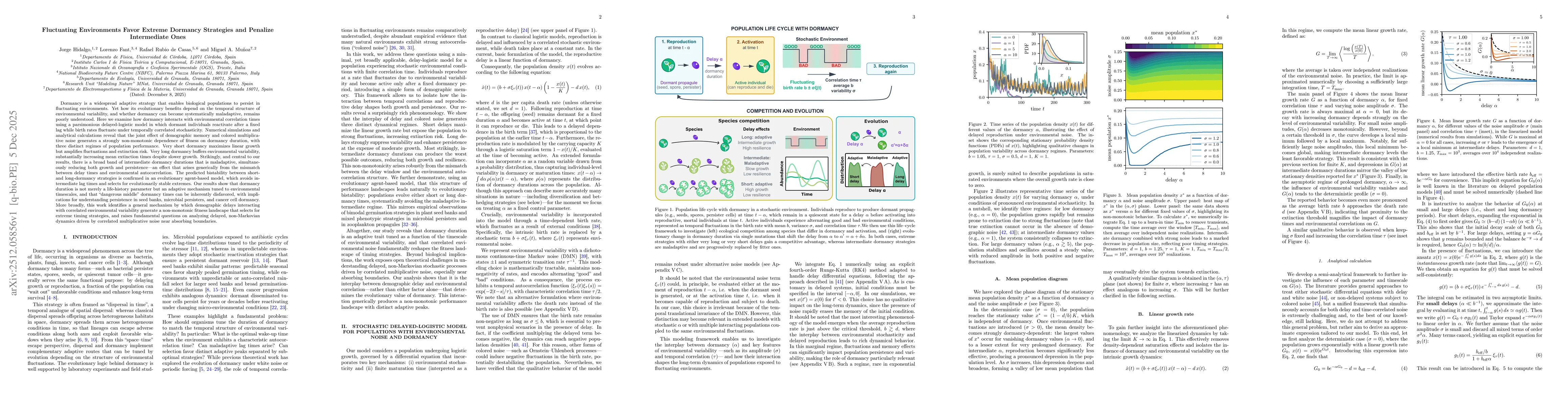 Thumbnail for Fluctuating Environments Favor Extreme Dormancy Strategies and Penalize Intermediate Ones