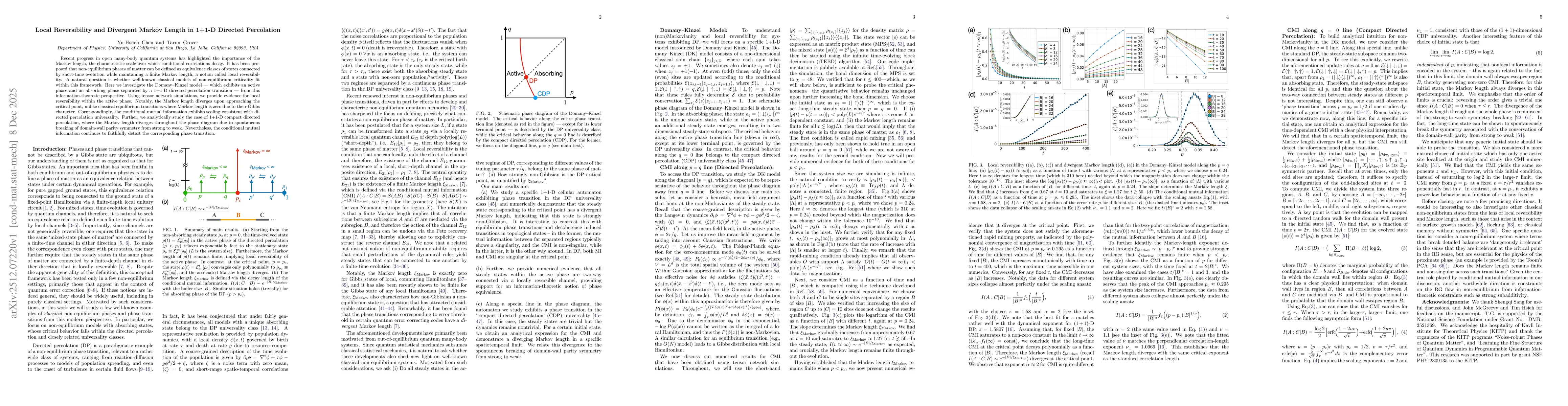 Thumbnail for Local Reversibility and Divergent Markov Length in 1+1-D Directed Percolation