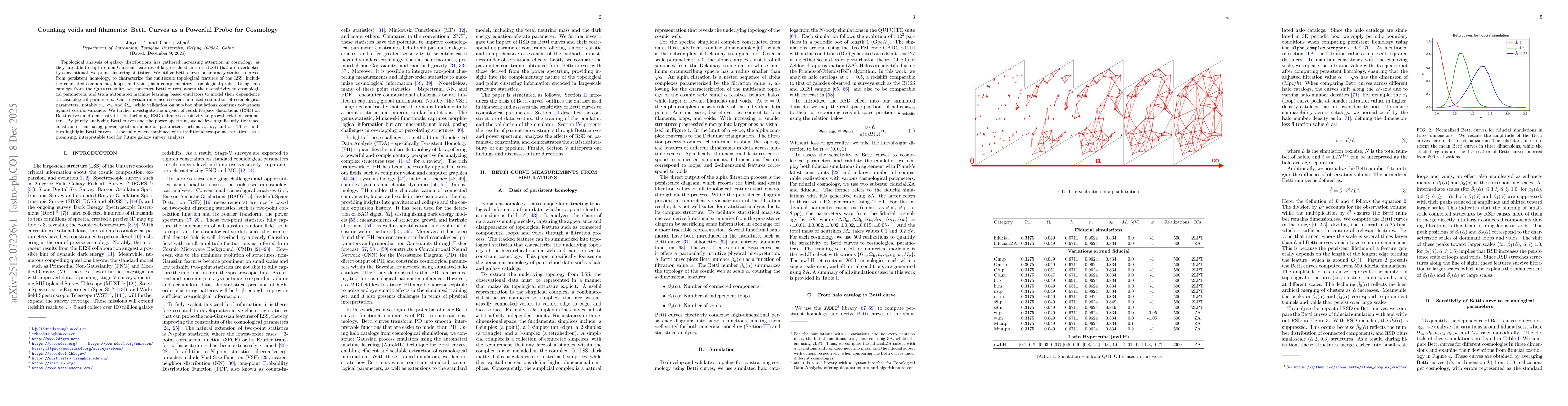Thumbnail for Counting voids and filaments: Betti Curves as a Powerful Probe for Cosmology