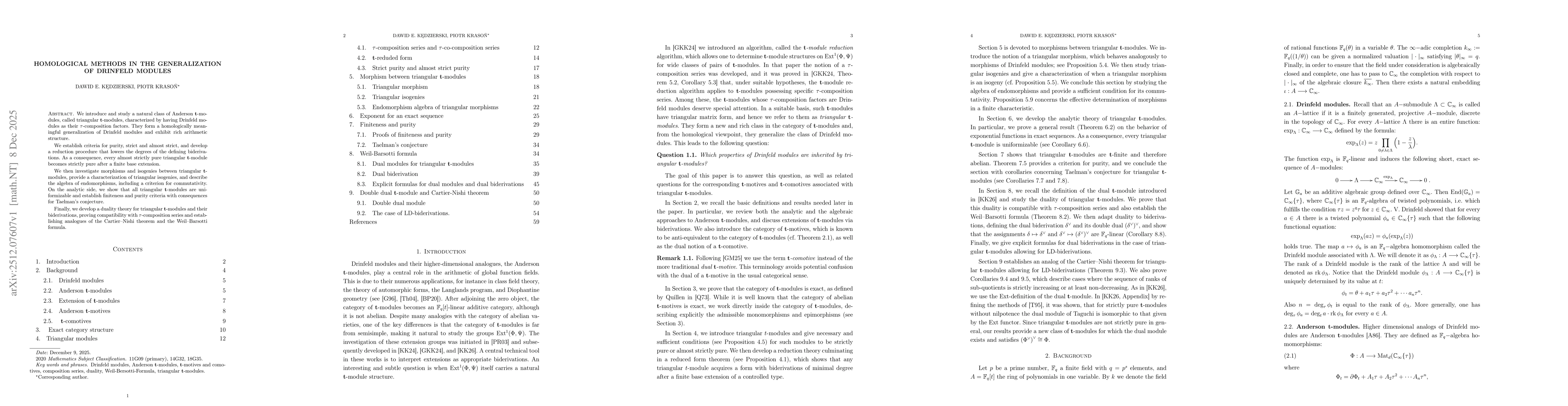 Thumbnail for Homological Methods in the Generalization of Drinfeld Modules