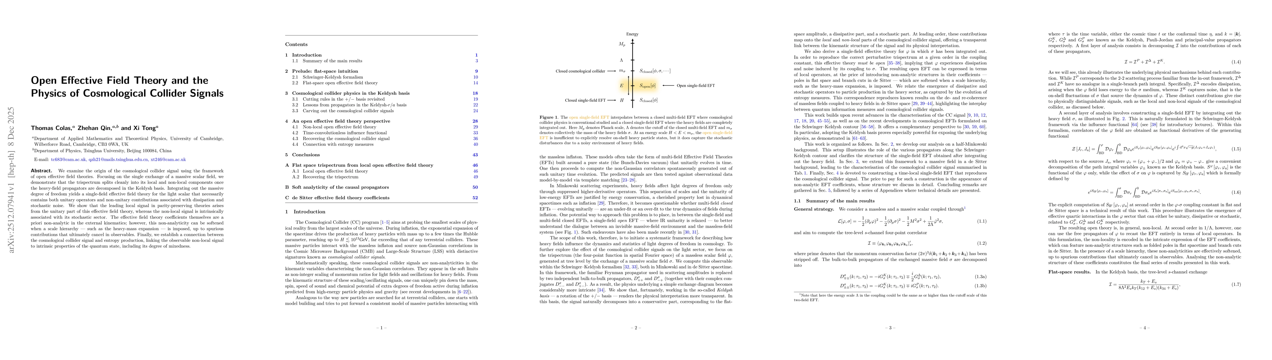 Thumbnail for Open Effective Field Theory and the Physics of Cosmological Collider Signals