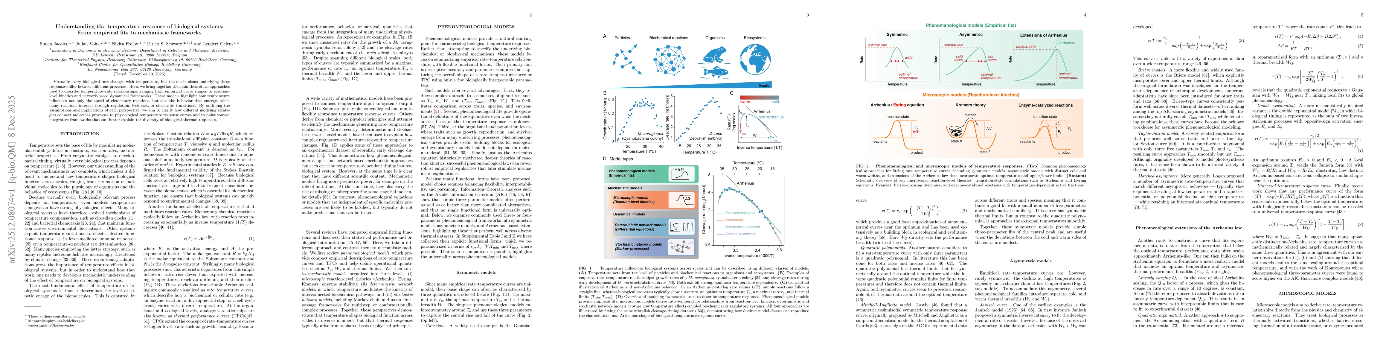 Thumbnail for Understanding the temperature response of biological systems: From empirical fits to mechanistic frameworks