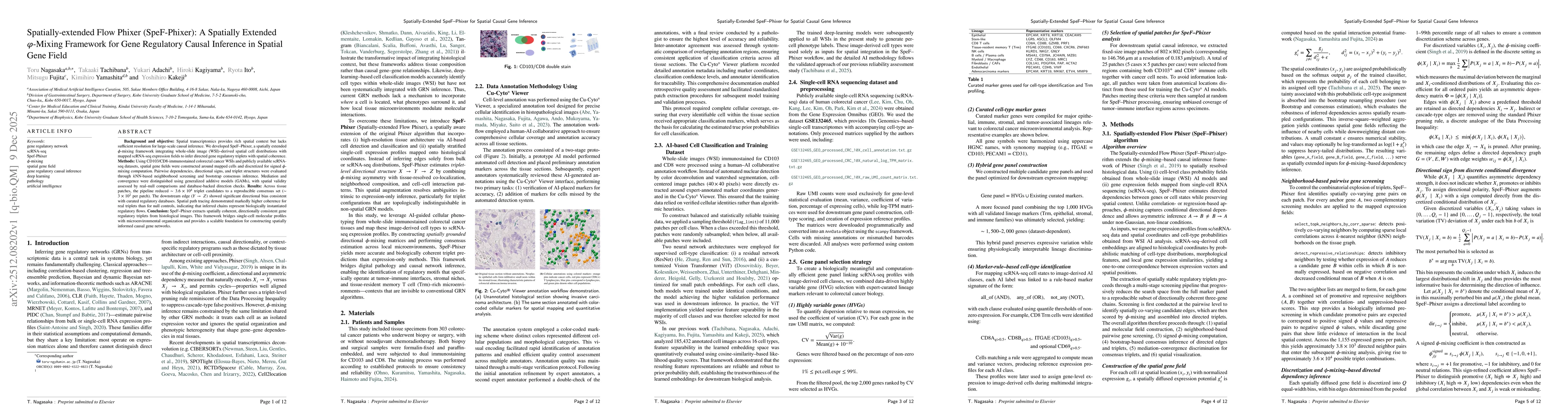 Thumbnail for Spatially-extended Flow Phixer (SpeF-Phixer): A Spatially Extended $\varphi$-Mixing Framework for Gene Regulatory Causal Inference in Spatial Gene Field