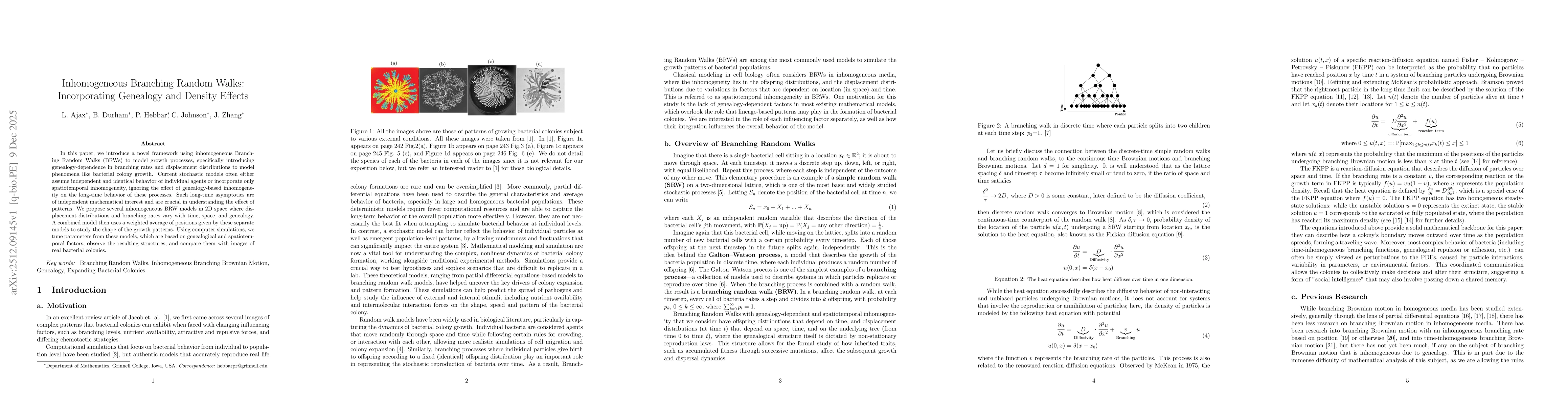 Thumbnail for Inhomogeneous Branching Random Walks: Incorporating Genealogy and Density Effects