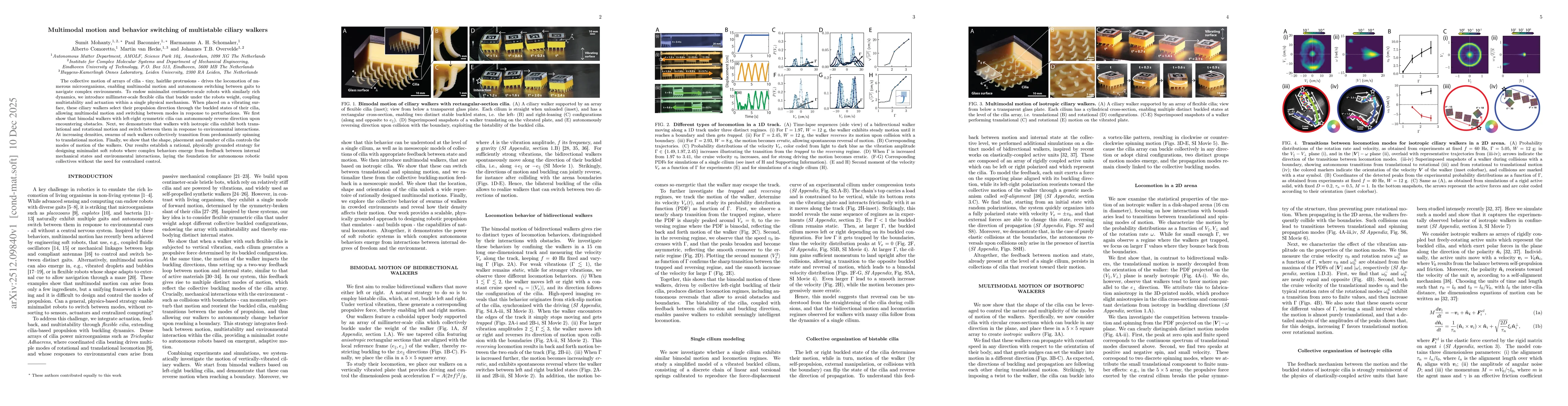 Thumbnail for Multimodal motion and behavior switching of multistable ciliary walkers