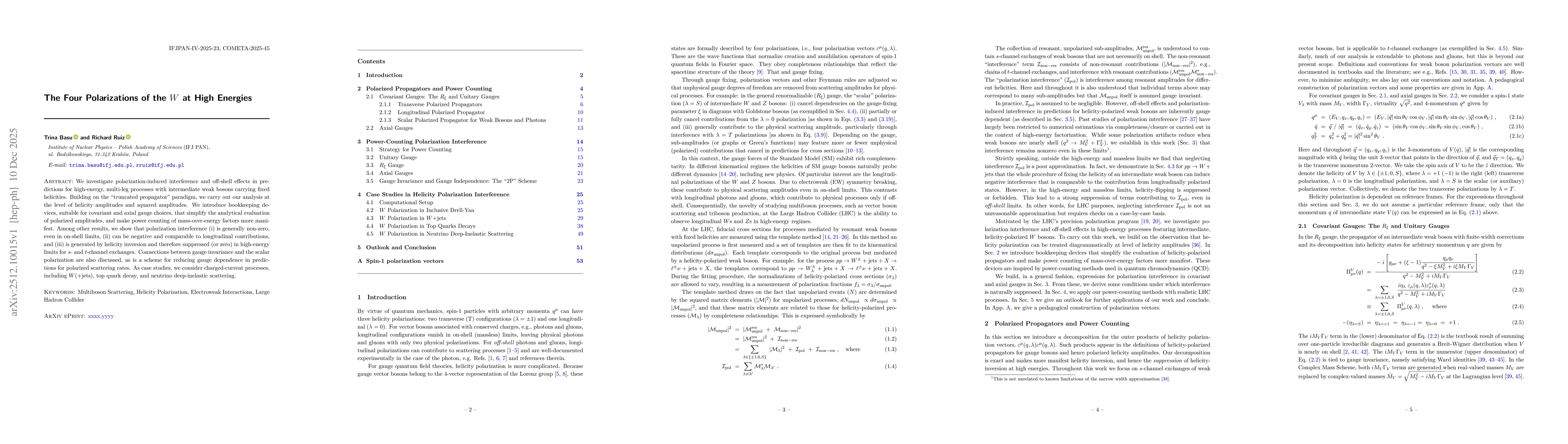 Thumbnail for The Four Polarizations of the $W$ at High Energies