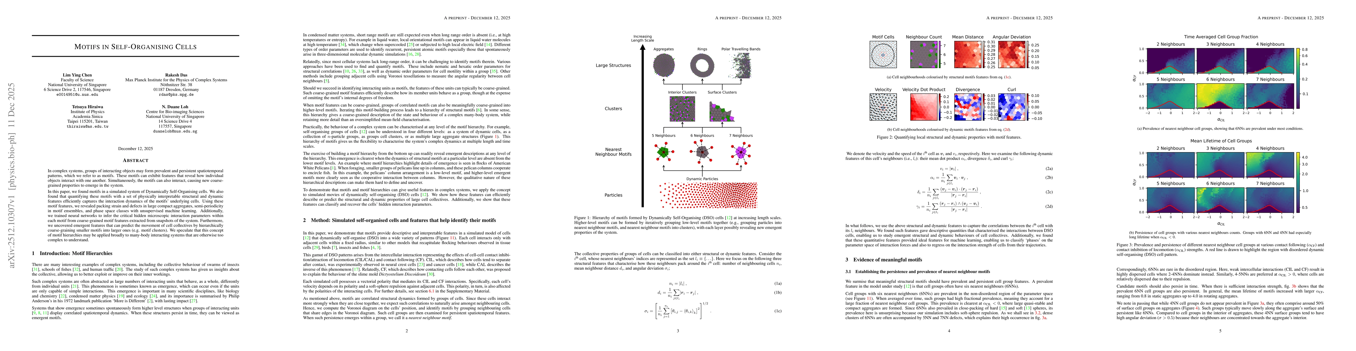 Thumbnail for Motifs in self-organising cells