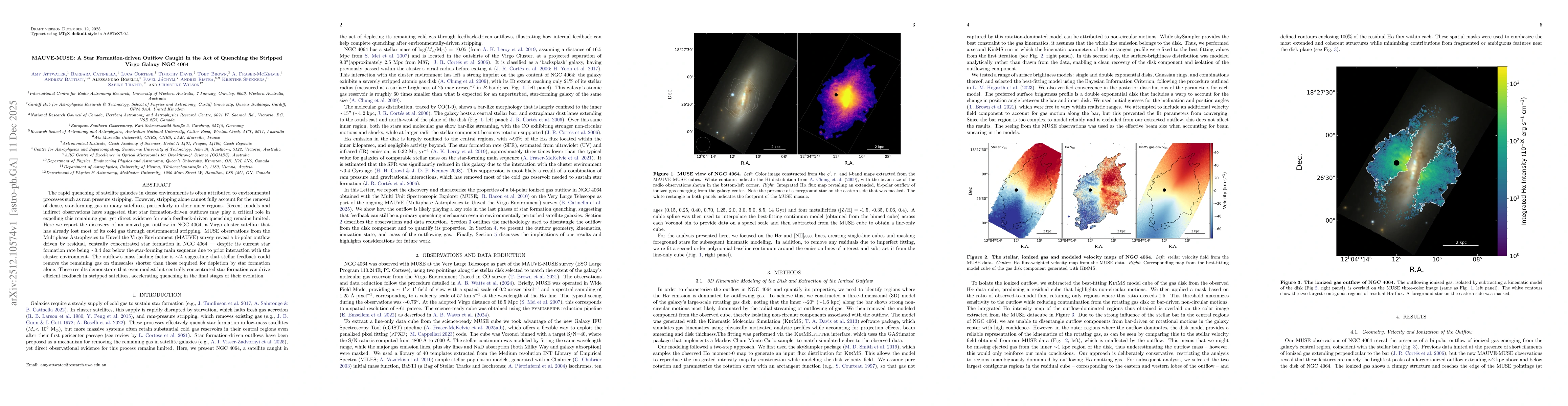Thumbnail for MAUVE-MUSE: A Star Formation-driven Outflow Caught in the Act of Quenching the Stripped Virgo Galaxy NGC 4064