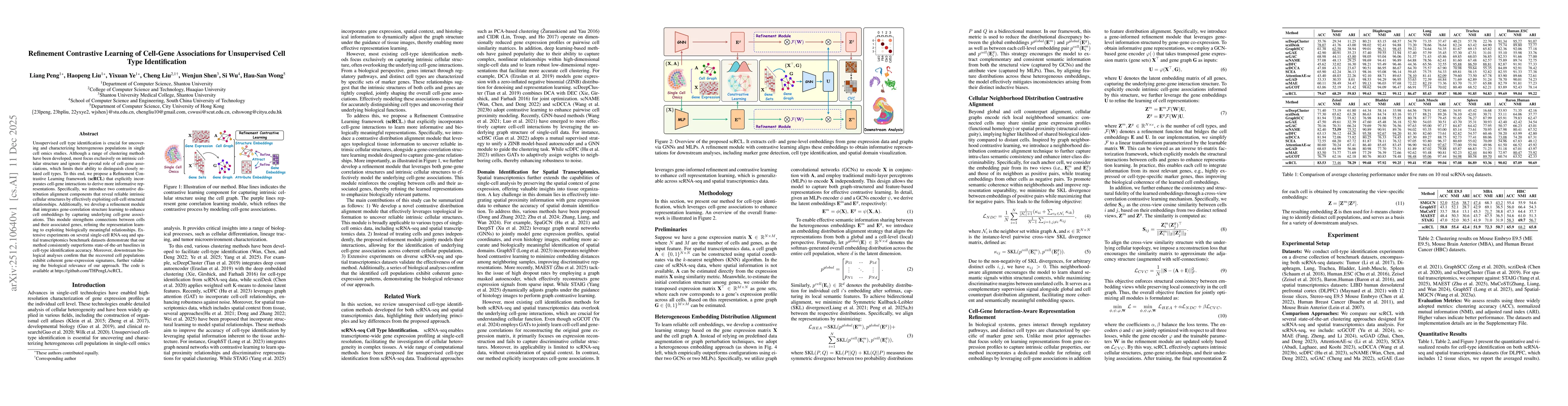 Thumbnail for Refinement Contrastive Learning of Cell-Gene Associations for Unsupervised Cell Type Identification