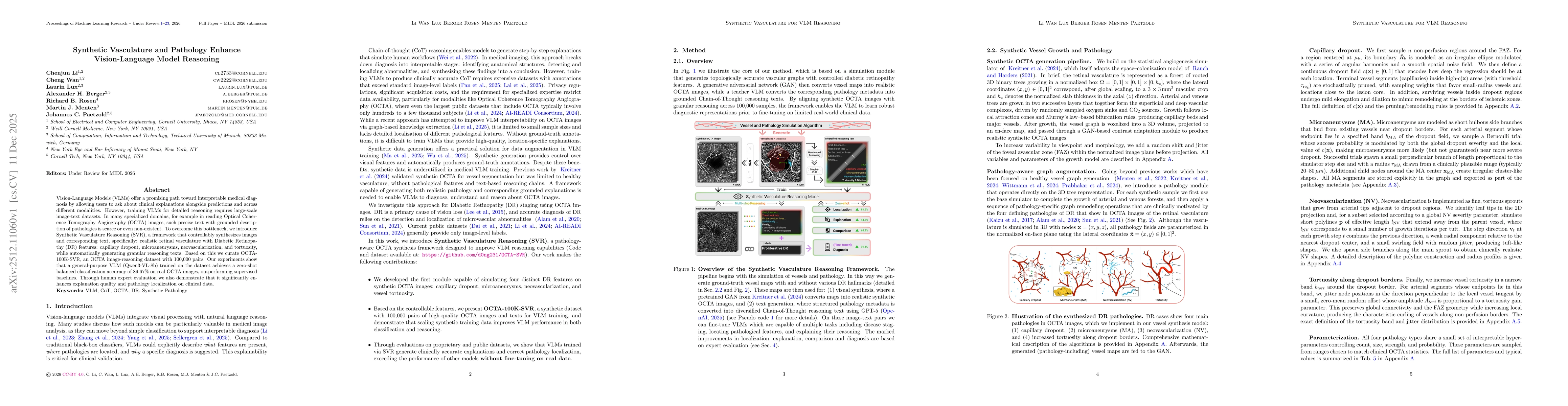 Thumbnail for Synthetic Vasculature and Pathology Enhance Vision-Language Model Reasoning