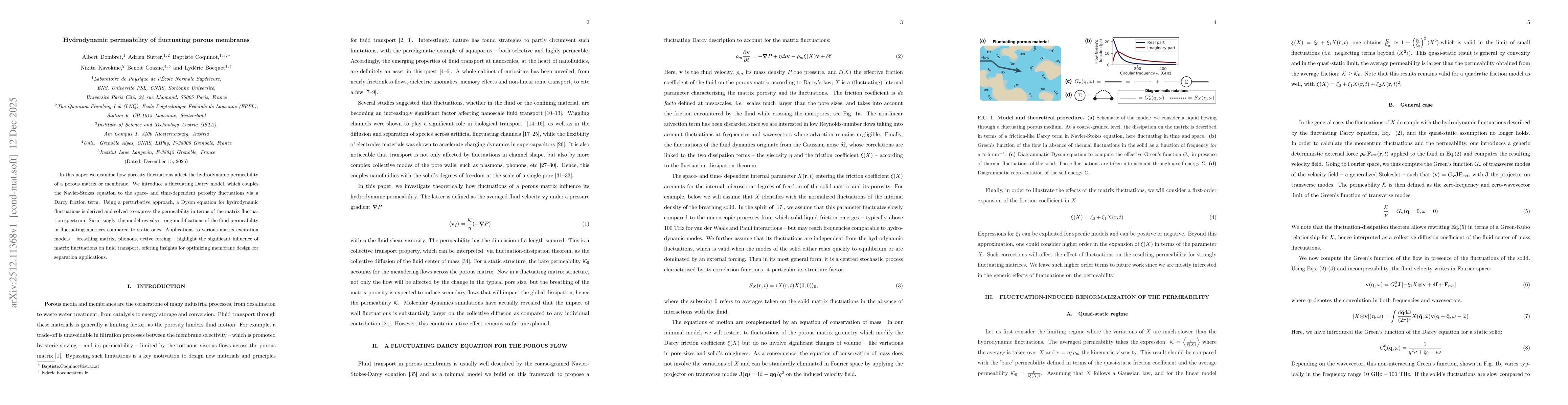 Thumbnail for Hydrodynamic permeability of fluctuating porous membranes