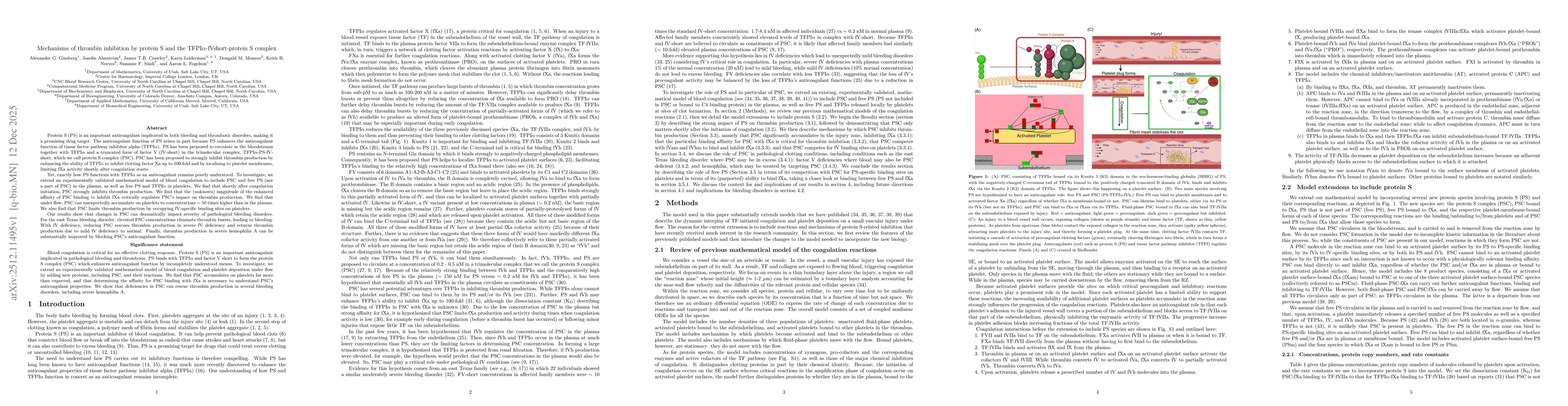 Thumbnail for Mechanisms of thrombin inhibition by protein S and the TFPIα-fVshort-protein S complex