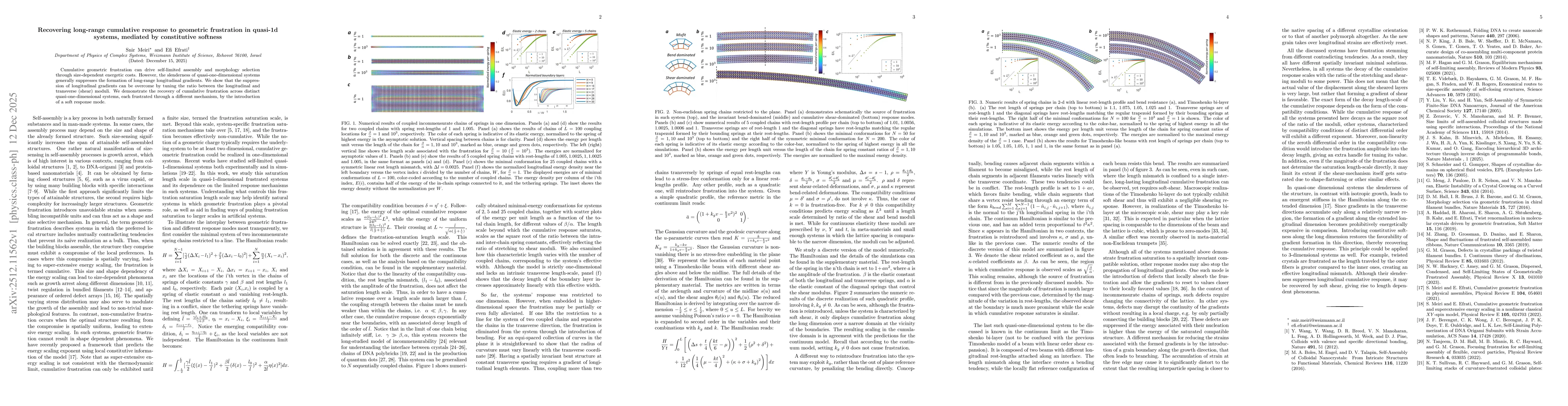 Thumbnail for Recovering long-range cumulative response to geometric frustration in quasi-1d systems, mediated by constitutive softness