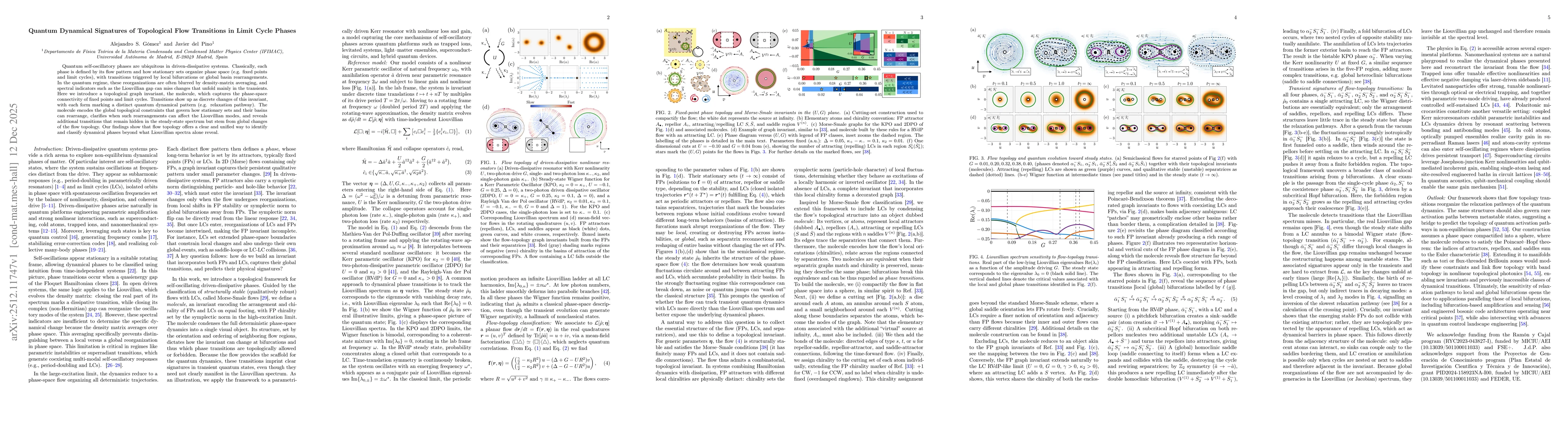 Thumbnail for Quantum Dynamical Signatures of Topological Flow Transitions in Limit Cycle Phases