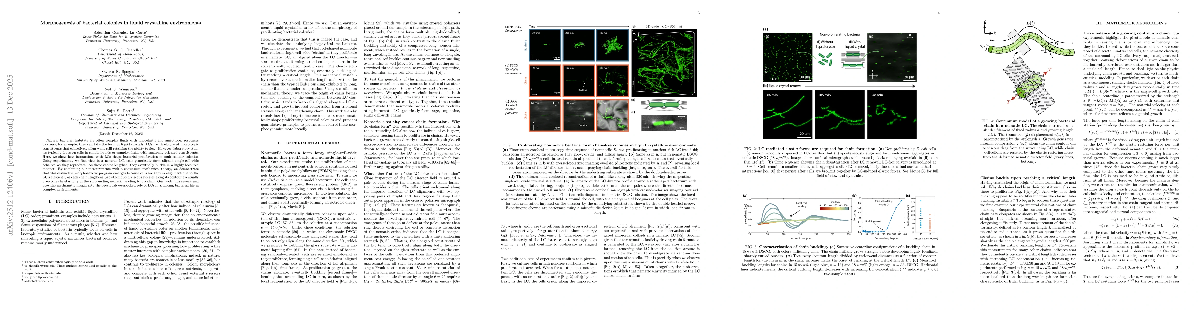 Thumbnail for Morphogenesis of bacterial colonies in liquid crystalline environments