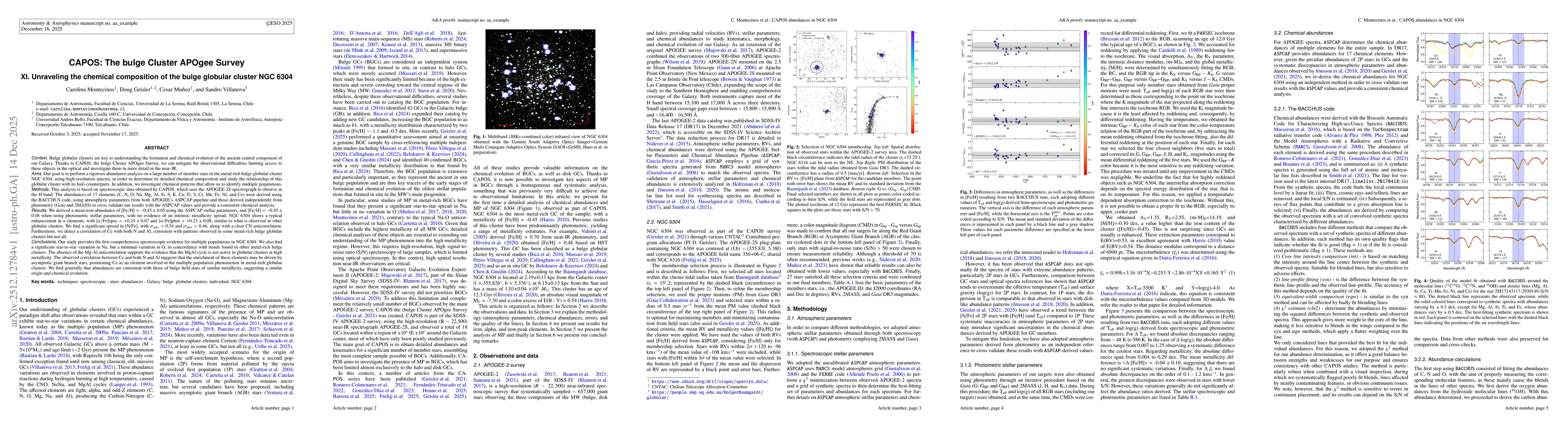 Thumbnail for CAPOS: The bulge Cluster APOgee Survey XI. Unraveling the chemical composition of the bulge globular cluster NGC 6304