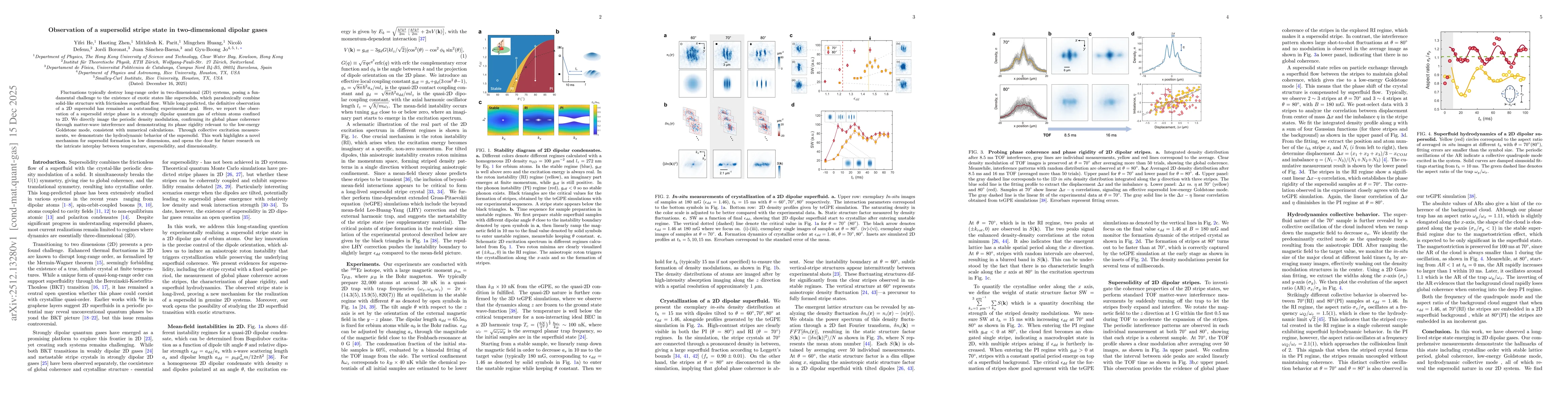 Thumbnail for Observation of a supersolid stripe state in two-dimensional dipolar gases