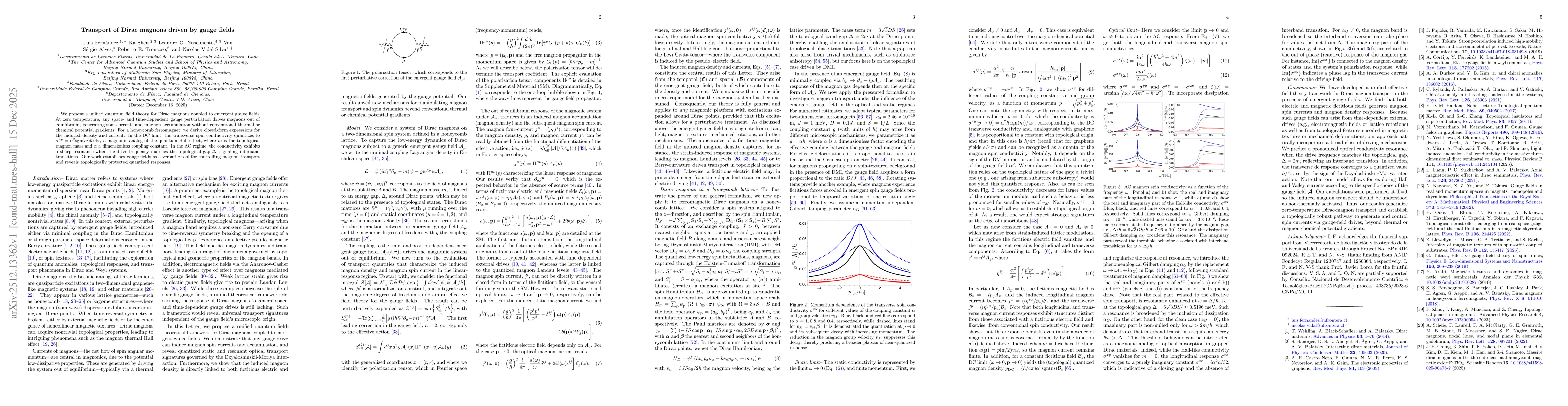 Thumbnail for Transport of Dirac magnons driven by gauge fields
