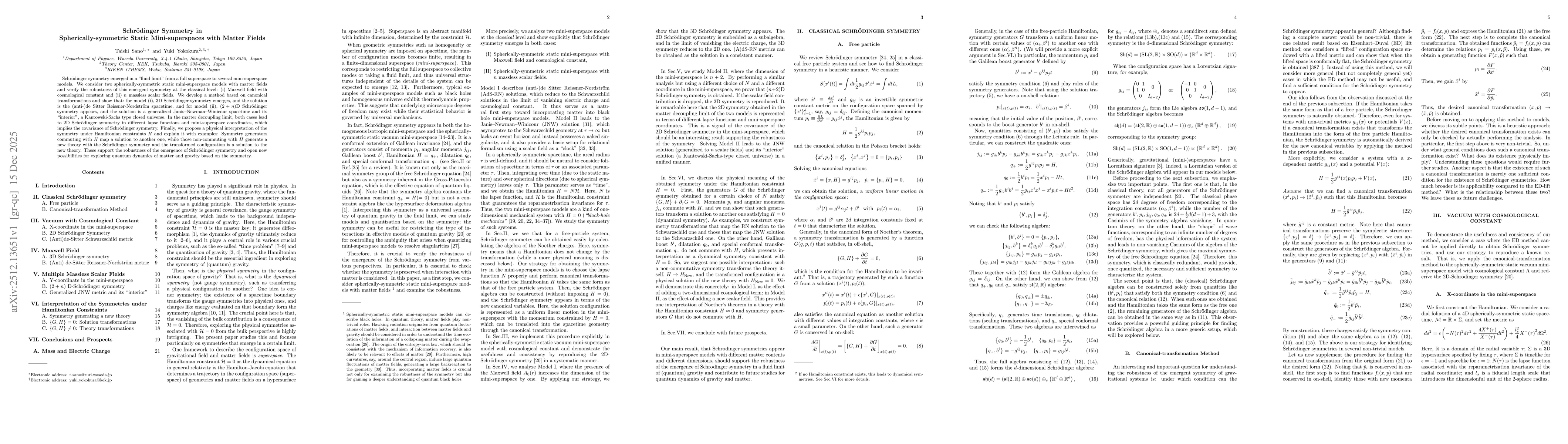 Thumbnail for Schrödinger Symmetry in Spherically-symmetric Static Mini-superspaces with Matter Fields